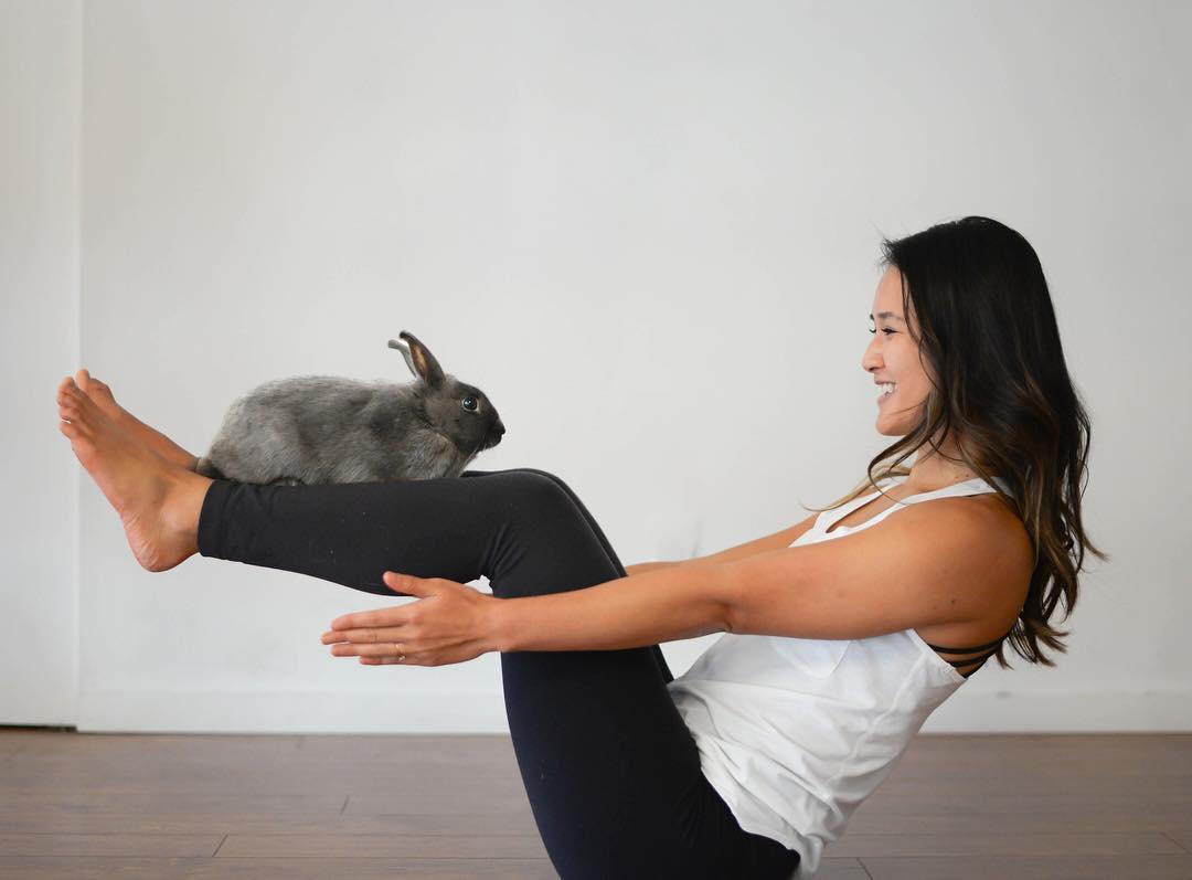 Bunny Yoga Class