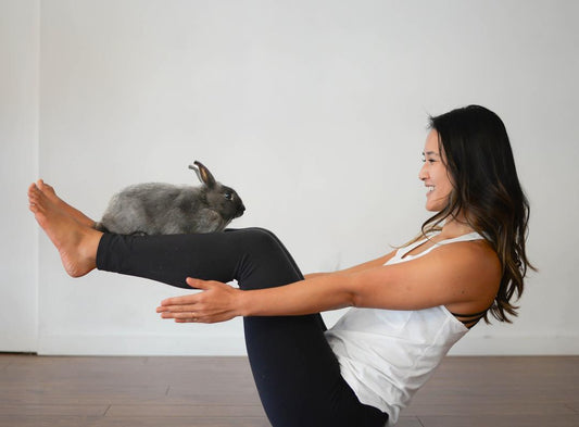 Bunny Yoga Class